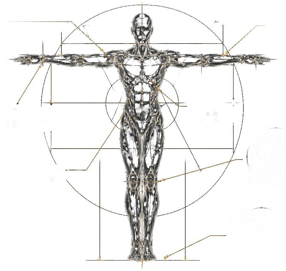 Front-view anatomical study of a standing figure with arms outstretched, marked at the hands, arms, shoulders, core, hips, knees and feet.